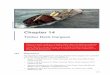 Timber Deck Cargoes - UK P&I Documents... · ensure that the carriage, stowage and securing of timber deck cargoes does not fall short of any currently accepted codes, rules, regulations