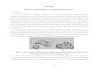 UNIT III OPTICAL RECORDING AND REPRODUCTION YEAR/EC E52- CE/Unit 3.pdf · UNIT III OPTICAL RECORDING AND REPRODUCTION 3.1 DISC In the Laser Vision System, Figure3.1 (a), ... the depth