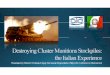 DestroyingCluster MunitionsStockpiles: the ItalianExperienceitaliarappginevra.esteri.it/.../09/destroying_cluster...experience.pdf · DestroyingCluster MunitionsStockpiles: the ItalianExperience