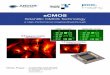 sCMOS - Fairchild Imagingfairchildimaging.com/files/scmoswhitepaperversion4-b-lr1_0.pdf · illuminated scientific CCD technologies on the market today – the interline CCD. These