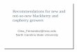Recommendations for new and not-so-new blackberry … talks... · Recommendations for new and not-so-new blackberry and raspberry growers ... –  blackberry_diagnostic_tool.html