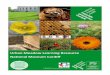 Urban Meadow Learning Resource National Museum Cardiff · Urban Meadow Learning Resource National Museum Cardiff ... Pest – A pest is living thing ... snails which eat garden plants