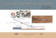 A study of ignition by rifle bullets - US Forest Service · A Study of Ignition by Rifle Bullets Mark A. Finney ... Experiments were conducted to examine the potential for rifle bullets