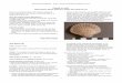 Fossil or not? - Earth Learning Idea · This is a practical activity with pictures (page 3) and/or specimens to help you to discuss what is a fossil and what is not. Give the pupils
