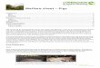Welfare sheet Pigs - Compassion in World Farming · Page 4 of 16 Last updated 17.05.13 Farrowing crates cause a number of severe welfare issues, because sows are: Constraint in the