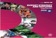 BUDGET STRATEGY AND OUTLOOK - Queensland Budget .Queensland Budget 2016-17 Queensland Budget Queensland