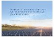 IMPACT INVESTMENT AND INSTITUTIONAL INVESTORSsustainability.ei.columbia.edu/files/2015/02/Impact-Investment-and... · Impact Investing and Institutional Investors | 2 Foreword This