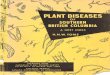 CANADIAN PLANT DISEASE - Canadian …phytopath.ca/wp-content/uploads/2017/04/CPDS_Vol_44_No_3_1964.pdf · CANADIAN PLANT DISEASE Volume 1964 September 1964 Number 3 ... & Vleug. -