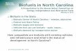 Biofuels in North .Biofuels Center of North Carolina ... cellulosic ethanol, BTL ... type of plant