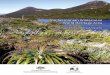 The Tasmanian Wilderness World Heritage Area · This State Party Report has been ... The Tasmanian Wilderness World Heritage Area World Heritage Committee Decision ... Franklin-Lower