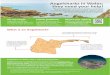 Angelsharks in Wales: they need your help!naturalresources.wales/media/682210/eng-angelshark-info-sheet... · Angelsharks in Wales: they need your help! ... also known as monkfish,