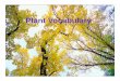 Plant Vocabulary - The University of Virginia · Plant Vocabulary. population ... Plants produce their own food ... transport system for food, water and nutrients to the plant parts