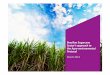 Brazilian Sugarcane Sector’s approach to the Agro ... · The Brazilian sugarcane sector Big figures ... Sugar Cane 8.14 2.4%. Definition ... To propose and implement a technical