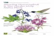 Attracting Hummingbirds to Your Garden Using Native .Attracting Hummingbirds to Your Garden Using