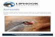 Sarcoids - Liphook Equine Hospital · Cryosurgery is the application of a cold spray to “freeze” small lesions, but results are often disappointing