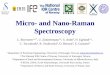 Micro- and Nano-Raman Spectroscopy - UiS forside 2016 Borromeo_SALB.pdf · Micro- and Nano-Raman Spectroscopy ... D. Bersani, D. Basso, P. Gentile, B. Schulz, E. Garzanti. Raman Spectroscopy