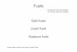 Fuels and Fuel Technology” W. Francis and M.C. Peters) · (“Fuels and Fuel Technology” W. Francis and M.C. Peters) Liquid fuels ... Mass balance The mass balance ... The enthalpy