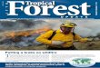 Putting a brake on wildfire T - gfmc.onlinegfmc.online/programmes/itto/ITTO-TFU-24-2-Fire... · ITTO Tropical Forest Update 24/2 3 ITTO’s proactive approach to fire management The