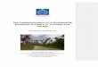 The Implementation of a Sustainable Biodiesel Industry in ...560334/FULLTEXT01.pdf · quantitative analysis to outline the economic ... The conversion process from coconut to Coco-Methyl