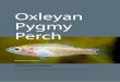Oxleyan Pygmy Perch - Department of the Environment · This recovery statement is a non-statutory document that provides additional information on: ... abatement plan for Gambusia