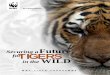 Future TIGERS WILD - WWF Less than a century ago, tigers prowled the forests of eastern Turkey and the Caspian region of western Asia. They lived in the Indian sub-continent, and across