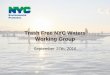 Trash Free NYC Waters Working Group · 3 What is the problem? Trash is ending up in our waterways. Sometime this water-borne trash is referred to as floatables, other times as marine
