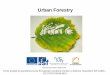 Urban Forestry - MENDELUxcepl/inobio/nove/Urban_Forestry/URF... · Urban Forestry – introduction ... • Credits and exams will be given by test. Urban Forestry – introduction