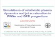 Simulations of relativistic plasma dynamics and jet ...anatoly/PCTS/DelZannaPCTS.pdf · Simulations of relativistic plasma dynamics and jet acceleration in PWNe and GRB progenitors