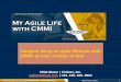 My Agile Life with CMMI Technology Strategy Companysm ®2006 Entinex, Inc. ALL RIGHTS RESERVED ***PROPRIETARY*** SEPG March 2007 1 My Agile Life with CMMI Imagine living an agile lifestyle
