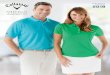 CORPORATE APPAREL 2018 - Pro Golf Premiums · performance-enhancing golf wear ... 513 Purple Magic 821 ... safe from the sun’s harmful rays —UPF 50 — Stretch fabric moves with