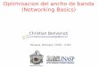 Optimisacion del ancho de banda (Networking Basics… · Optimisacion del ancho de banda (Networking Basics) Managua, Nicaragua, 31/8/9 - 11/9/9 ... Basic network design rules 