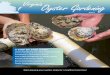 VA Oyster Gardening Guide entire 2013 edition · to eelgrass blades to stay out of reach ... Chesapeake Bay. In the early 1900’s, Diamond Jim ... Virginia Marine Resources Commission