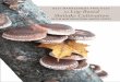 Best ManageMent Practices for Log-Based Shiitake … · introduction 6 UVM Mushrooms Listserv Since 2010, over 100 growers and mushroom enthusiasts have been involved in a Northeast-based
