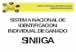 SISTEMA NACIONAL DE IDENTIFICACION INDIVIDUAL DE …spo.uno.org.mx/wp-content/uploads/2012/05/20_SINIIGA.pdf · •En su caso: Sala de extracción de miel, Centro de acopio de miel,