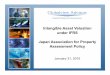 Japan Intangible Asset Valuation Under IFRS Presentation ... · International Financial Reporting Standards The views expressed in this presentation are those of the presenter, not