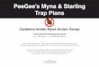 PeeGee’s Myna & Starling Trap Plans · Peeees Myna tarling Trap Plans Page 4 Assembly of Feeding Chamber Entrance & Door STEP 1 Fold at right angles to form two sides and top of