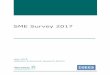 SME Survey 2017 - revenue.ie · SME Survey 2017 The authors are Seán Kennedy (Sean.Kennedy@oecd.org), OECD and formerly Office of ... Personalisation of invitation emails is found