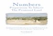 Bible Class Book on Numbers - padfield.com · Numbers Preparation To Inherit. The Promised Land “The land we passed through to spy out is an exceedingly good land. If the Lord delights