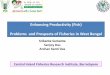 Enhancing Productivity (Fish) Problems and Prospects …bckvalumni.org/userfiles/Samanta_CIFRI.pdf · Enhancing Productivity (Fish) Problems and Prospects of Fisheries ... prawn