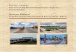 Collier County Community Redevelopment Agency Imm .Collier County Community Redevelopment Agency