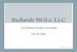 Badlands NGL’s, LLCbadlandsngls.com/uploads/1/BadlandsPresentationforLBCGConference... · • Actual Bakken NGL and ethane production in the ... • Based upon Williston Basin gas