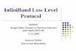 InfiniBand Low Level Protocol - ra.ziti.uni-heidelberg.dera.ziti.uni-heidelberg.de/pages/student_work/seminar/hws08/Andreas... · Ziel dieser Ausarbeitung Realisierung von Low Level