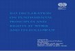 ILO DECLARATION ON FUNDAMENTAL PRINCIPLES AND RIGHTS AT ... · ILO DECLARATION ON FUNDAMENTAL PRINCIPLES AND RIGHTS AT WORK AND ITS FOLLOW-UP adopted by the International Labour Conference