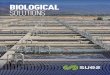 BIOLOGICAL SOLUTIONS - degremont …degremon/cms... · Infilco Degremont’s Biological solutions span a broad spectrum ... (Hybrid Activated-Sludge Technology) ... (for Cyclic Low