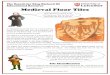 The Search for King Richard III Educational Resource ... · The Search for King Richard III Educational Resource ... remains of King Richard III. It is decorated with a picture of