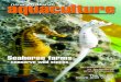Seahorse farms - Aquaculture Magazine Incorporating ...nzaquaculture.co.nz/old-archives/AQUACULTURE 07.pdf · ISSUE 07 SEPTEMBER/OCTOBER 2005 $5.00 Breakthrough in breeding shortfin
