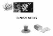 ENZYMES - Soegijapranata Catholic Universitysintak.unika.ac.id/.../files/kimia_pangan_2011-12/enzymes.pdf · ... Product(s) enzyme Enzymes: ... of our daily protein intake of our
