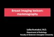 Breast imaging lexicon: mammography - Chiang Mai …€¦ · Breast composition 2003 BI-RADS® Atlas (4 th Edition) 2013 BI-RADS® Atlas (5 th Edition) 1. The breast is almost entirely