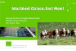 Marbled Grass-fed Beef - MIRINZ · • Cattle genotype is a crucial factor in marbling –need to put right genotype ... marbled grass-fed beef? •Can we deal with fat colour issues?