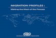 MIGRATION PROFILES - IOM Online Bookstorepublications.iom.int/system/files/pdf/migrationprofileguide2012_1... · MIGRATION PROFILES : ... and uphold the human dignity and well-being
